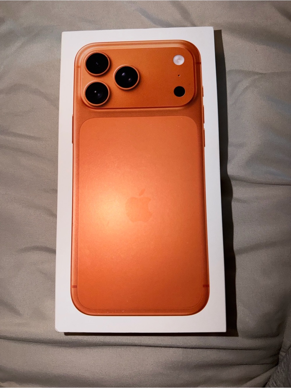Apple iPhone 17 Pro Max Box Gag Gift Box Only
